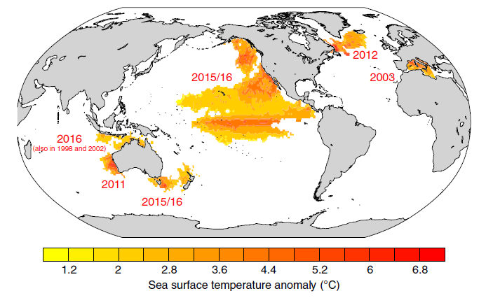 Colors ranging from deep yellow (+1°C) to red (+7°C) show much more warming in different parts of oceans globally.