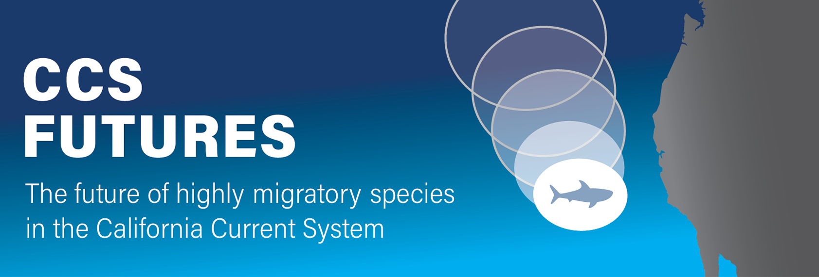 CCS Futures: The future of highly migratory species in the California Current System