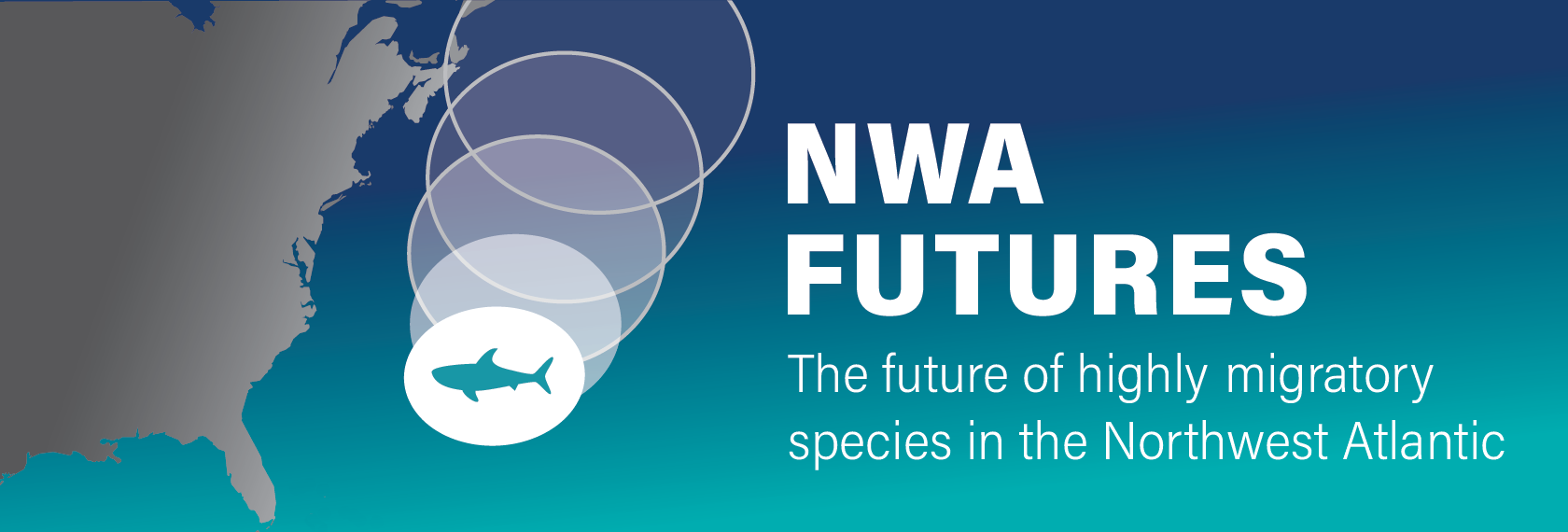 NWA Futures: The future of highly migratory species in the Northwest Atlantic